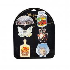 Ceramic Fridge Magnet-Special shape