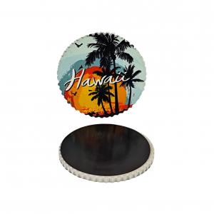 Ceramic Fridge Magnets Exporter - Quality & Affordability